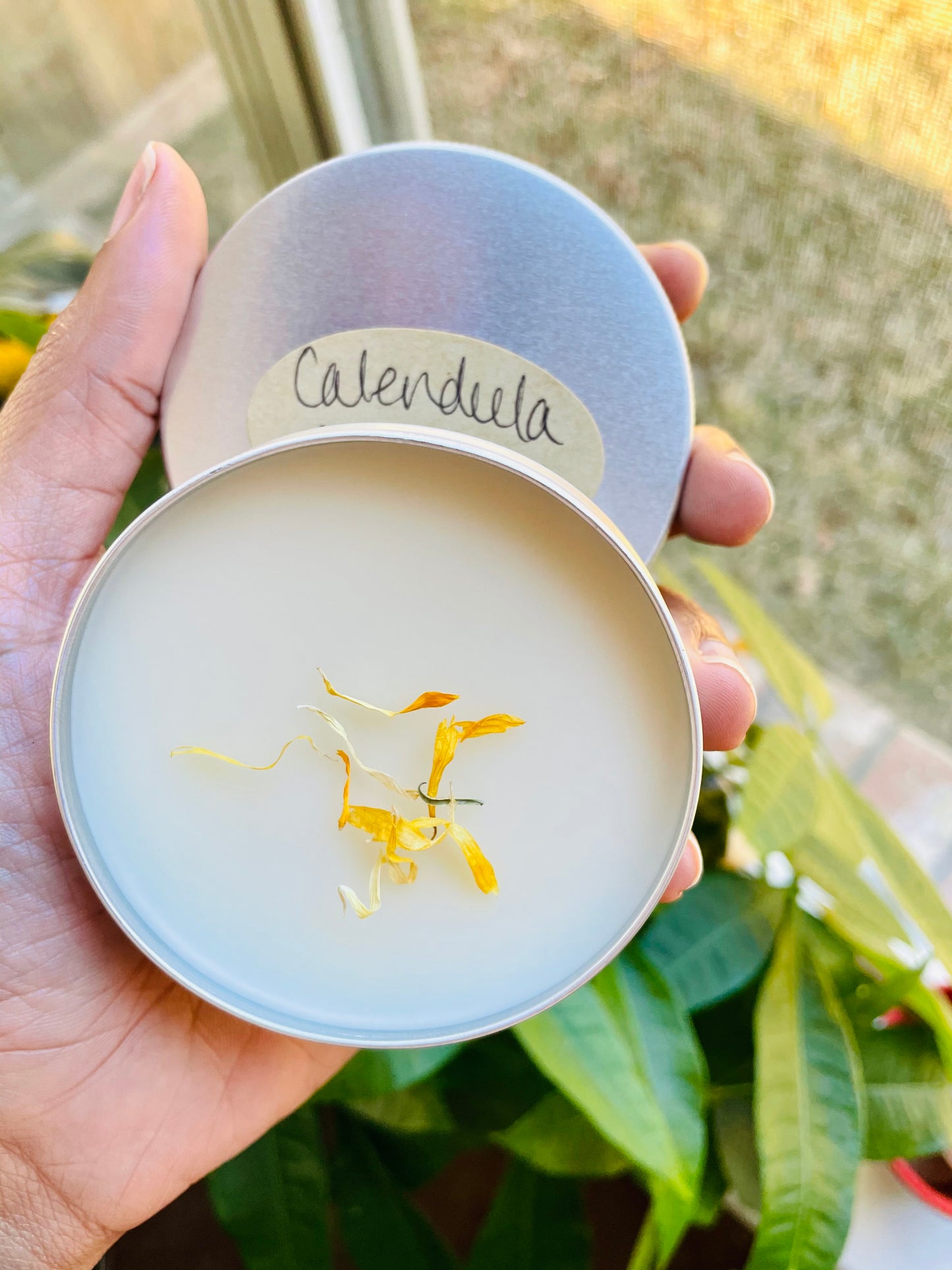 Calendula Thieves Salve